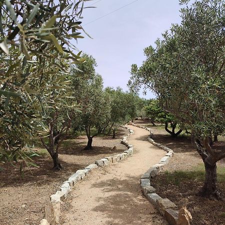 Stazzu Barecca B&B Cugnana Verde Exterior photo